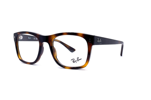 Ray cheap ban 5227