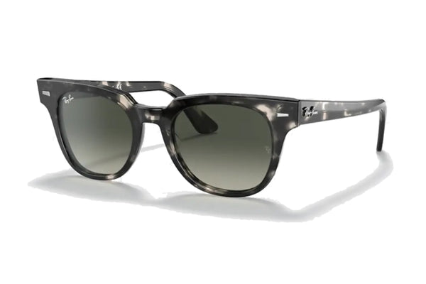 Ray Ban Meteor Fleck Standard Good See Co